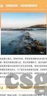 91精品国产综合久久麻豆-绿色网络守护者，探索国产影视文化的多元价值