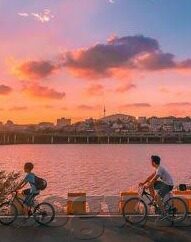成人性爱视频网站-成人性爱视频网站，网络时代的私密探索与边界探讨