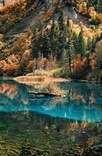 国产麻豆放荡av剧情演绎-开放现实风格下的国产麻豆——探索成人内容背后的文化与后果