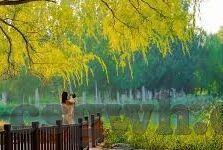 麻豆91免费视频-麻豆91免费视频，成年世界的一场误会与反思
