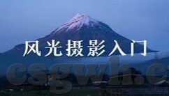 麻豆传媒苏娅-迷影之下，麻豆传媒与苏娅的跨界探索