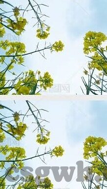 麻豆果冻传媒在线-麻豆果冻传媒，新媒体时代的创意娱乐体验