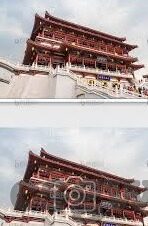 麻豆精品果冻传媒-麻豆精品果冻传媒——绿色土壤中孕育的创意艺术之花