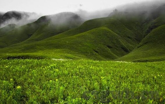 蜜桃一区二区三区-蜜桃乐园的甜蜜探索，一区、二区、三区的奇妙之旅