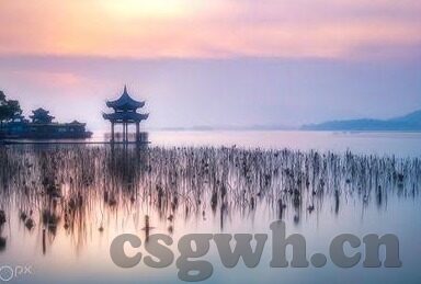漂亮人妻被中出-漂亮人妻的温柔与坚韧