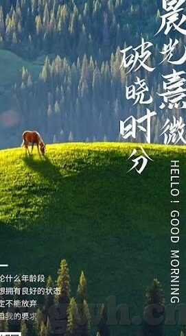 日韩av高请在线视频-日韩AV高清在线视频，文化、艺术与技术的交融