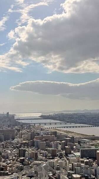 芝麻视频怎么卖芝麻豆-芝麻视频平台，芝麻豆的独特营销策略